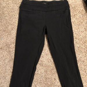 Maurices I AM SMART Pant